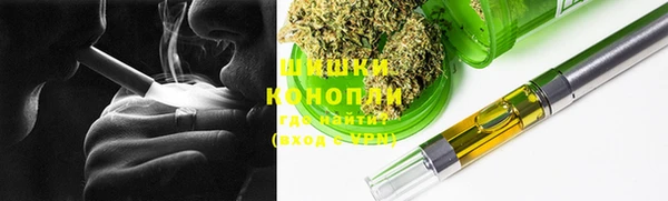 сатива Белокуриха