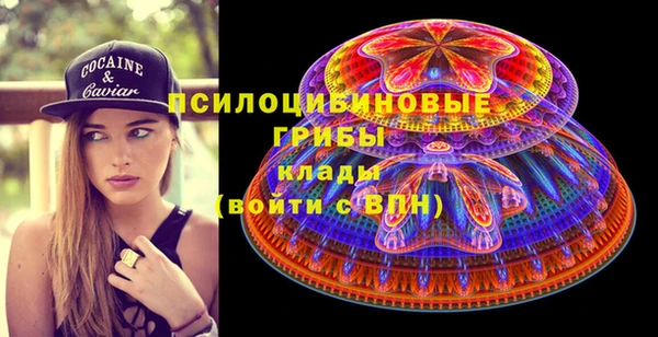кристаллы Инта