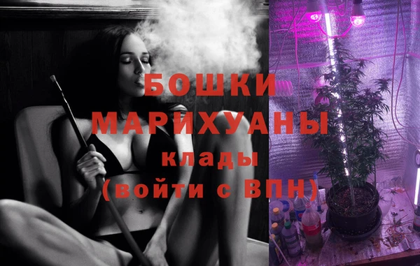 сатива Белокуриха