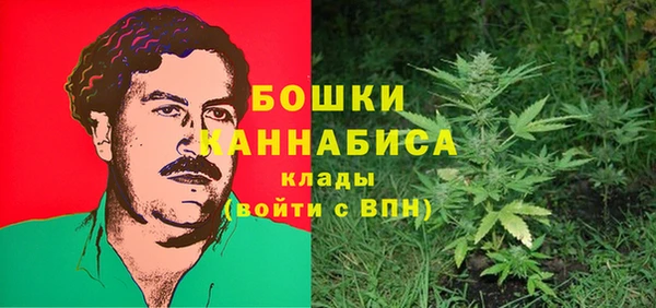 сатива Белокуриха
