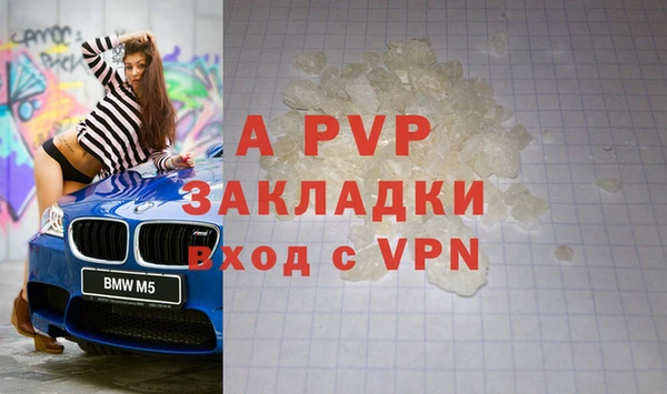 сатива Белокуриха