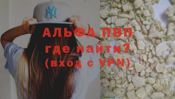 сатива Белокуриха