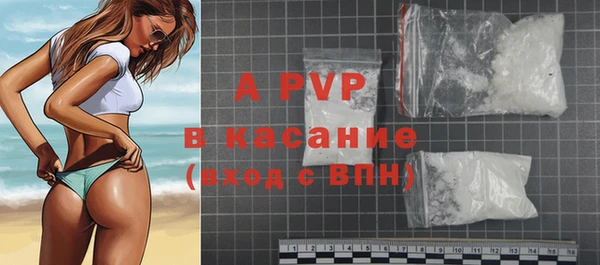 сатива Белокуриха