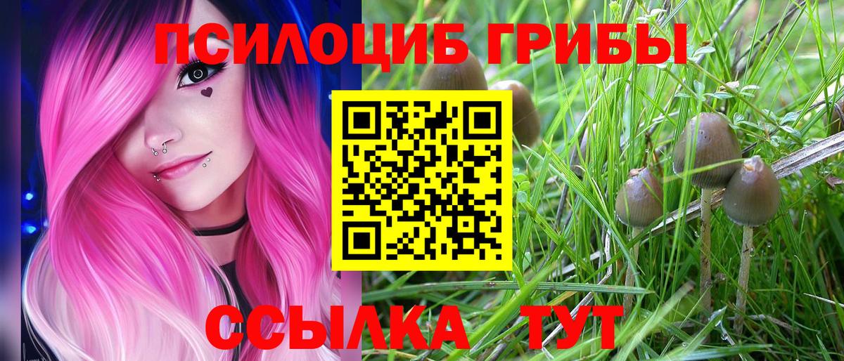 Пыть-Ях  Псилоцибиновые грибы ЛСД  Вход с VPN 